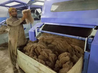 Machine à carder / à dépoiler la laine de mouton usagée pour le cachemire