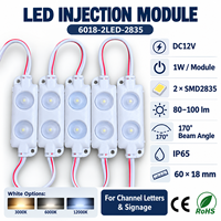 Module LED 12V 1W IP65 étanche, module LED 2 SMD2835 pour lettres lumineuses avec lentille 170 degrés pour enseignes et caissons lumineux