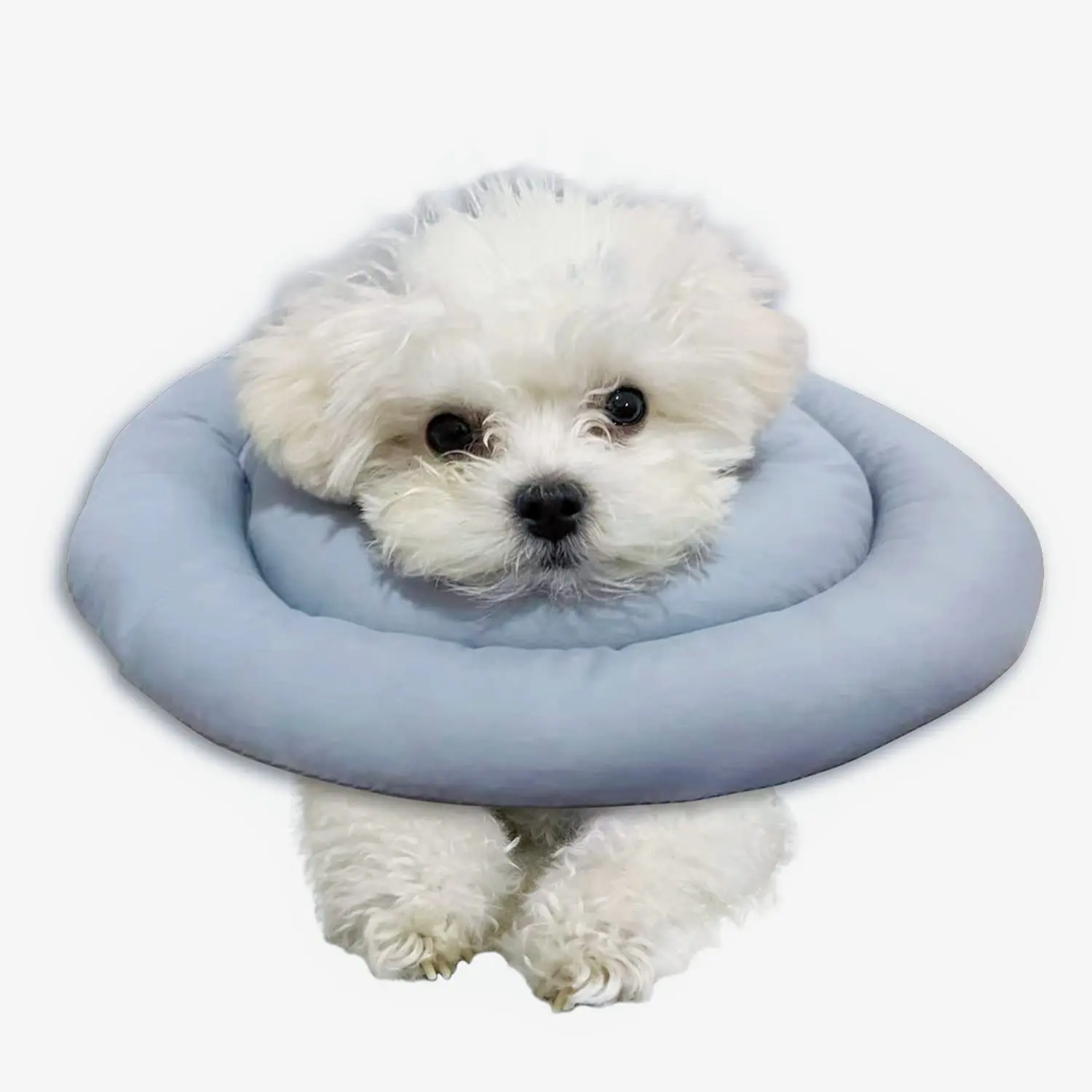 Collar inflable suave Collar cónico protector ajustable después de la cirugía CINTAS Perros y gatos blancos Collar de recuperación suave para mascotas