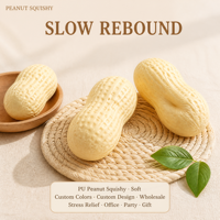 Jouet Squishy Cacahuète de Simulation en TPR à Remontée Lente, Balle Anti-Stress Créative pour Adultes et Adolescents, Cadeau en Gros