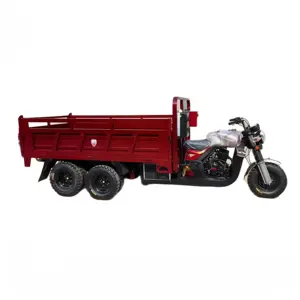 Nuovo stile 250Cc 350Cc Dump Cargo motore triciclo moto 3/5/9 ruote benzina triciclo elettrico per la vendita