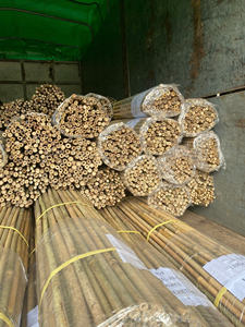 Estacas de Bambú Naturales para Agricultura, Estacas de Bambú Ecológicas para Jardín, Soporte para Plantas, Caña de Tonkin para Viveros - Product Image 5