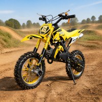 Motor Trail Mini Anak-Anak Bertenaga Gas 49cc 2 Tak, Starter Tarik, Penggerak Rantai, Rem Cakram