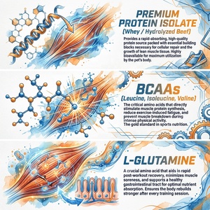 OEM Evcil Hayvan Kas Geliştirme Tozu Yüksek Proteinli <span class=keywords><strong>BCAA</strong></span> Takviyesi Köpekler Kediler İçin Özel Etiket Fabrikası - Product Image 4