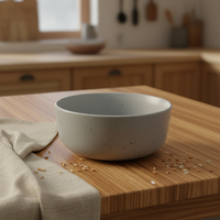 Service de table en grès de luxe élégant de style européen |   Ensemble de 4 assiettes et bols en céramique grise |   Compatible lave-vaisselle/micro-ondes/congélateur, résistant à la chaleur