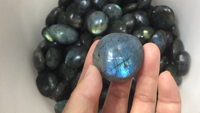 Grosir kristal alami dipoles diukir Labradorite batu palem batu permata Model terukir biru kedip untuk dekorasi