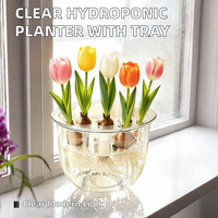 Pot de fleurs transparent moderne en polypropylène pour culture hydroponique avec plateau de support pour bulbes, idéal pour tulipes et jacinthes, usage domestique