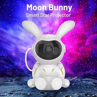 Veilleuse de projection d'étoile de lune de lapin