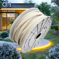Bande LED COB haute tension sans pilote 110v 220v 120v 30m 30 50 pieds extérieur 100 mètres 230v 220v 100m bande lumineuse LED