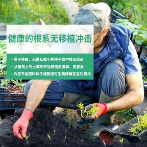 Nuevos Productos 2026, Herramienta Manual para Hacer Bloques de Tierra de 4 Piezas, Bloqueador de Tierra de 2 Pulgadas, Herramienta para Bloquear Tierra, Bandeja de Germinación - Product Image 3