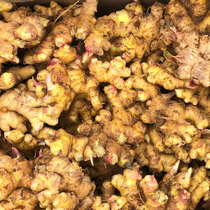 <span class=keywords><strong>2025</strong></span> Hot Bán Chất Lượng Cao Hữu Cơ Gừng Gốc 150G Gừng Tươi Xuất Khẩu Từ Trung Quốc Khô Thực Phẩm Thành Phần - Product Image 4