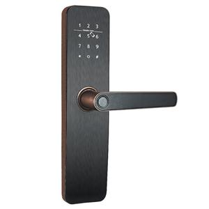 Fngerprint Keyless Smart <strong>Door</strong> Handle Lock Smart Lock Inteligente <strong>Digital</strong> <strong>Door</strong> Lock - Product Image 6