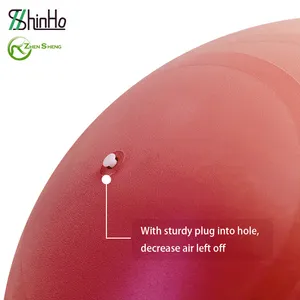 Zhensheng Wholesale Stability Anti Burst Birthing Yoga Ball 65cm