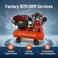 Compresseur d'air diesel haute capacité 3m3/min W3.0/5 |   Compresseur à piston portable de 200 L avec moteur diesel S1115