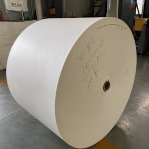 วัสดุบรรจุภัณฑ์กระดาษเคลือบ PE ตัวอย่างฟรี ม้วนกระดาษเคลือบ PE 150-320 แกรม - Product Image 4