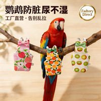 Harnais-culotte pour pigeon avec laisse, couche lavable et réutilisable pour oiseaux, pour l'entraînement au vol en extérieur des perroquets