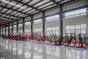 Dezhou thể dục thể thao thể hình ISO-bên ngực trở lại thay đổi vật liệu kim loại miễn phí sơn màu nhà phân phối muốn - Product Image 5