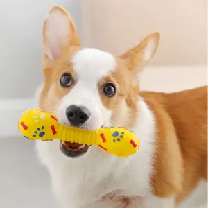 宠物玩具吱吱小狗新闻报纸胡萝卜磷光刺猬球吱吱狗玩具