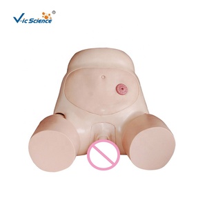 Modèle avancé de cathétérisme masculin avec structure urétrale et pelvienne simulées pour la formation clinique des étudiants en soins infirmiers - Product Image 6
