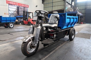 Tricycle électrique Dumper Mini Farm Tricycle Benne Basculante Cargocamiones Miners Amortiguadores Triciclo avec de bons prix à <span class=keywords><strong>Trujillo</strong></span> - Product Image 6