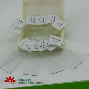 Juego de 12 Portaobjetos de Microscopio para la División de la <span class=keywords><strong>Meiosis</strong></span> en Todas sus Etapas, para Materiales Educativos - Product Image 2