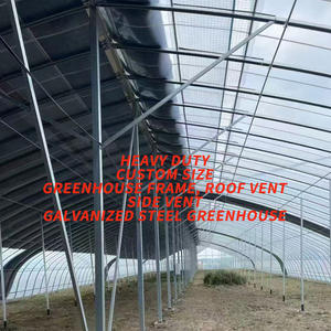 هيكل بيت زجاجي تجاري متين بمقاسات مخصصة، نفق للفراولة، بيوت زجاجية بلاستيكية مع معدات كاملة - Product Image 6