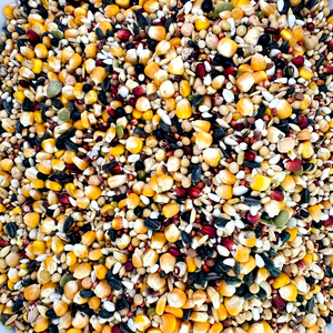 Alimento Premium para Palomas y Mezcla de Alimentos Crudos de Alta Energía Ecológicos para Palomas, Loros y Gallinas |   Productos Agrícolas al por Mayor Cultivados en EE. UU. - Product Image 1