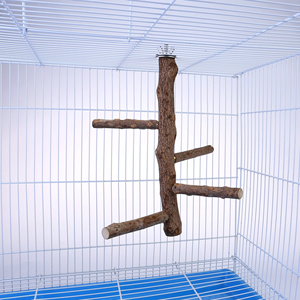 Natural Hard Wood <b>Bird</b> Perch <b>Stand</b> with Safe Chewable Branch Platform and Paw Grinding Stick Apple-Shaped Promotional Pet Toy - Product Image 4