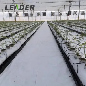 Système de culture hydroponique pour serres, 4 gouttelettes de plantes, épaisseur 20x30cm, 0.8mm, noir/blanc, PP, avec espaceur de drainage