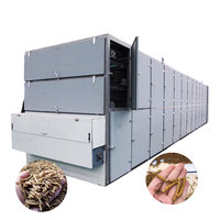 Déshydrateur commercial bsf noir sodier séchoir à mouches équipement sécheur d'insectes machine de séchage de ver de terre
