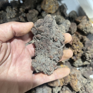 Venta al por mayor a granel de dinosaurio fósil natural, <span class=keywords><strong>coprolito</strong></span>, piedra de cristal fósil para colección de regalos - Product Image 4