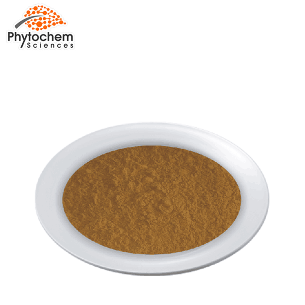 Самая высокая спецификация для продажи, стандарт GMP, экстракт Ashwagandha с 2.5% витанолидом по гравиметрическому методу