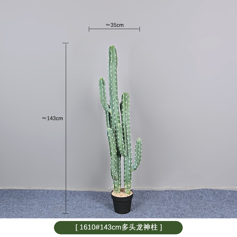 1610 #140cm multi dragón Pilar