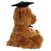 Fabricant Professionnel : Transformez Votre Conception en Peluches Personnalisées, Jouets en Peluche OEM ODM, Vente en Gros, Ours en Peluche de Remise de Diplôme