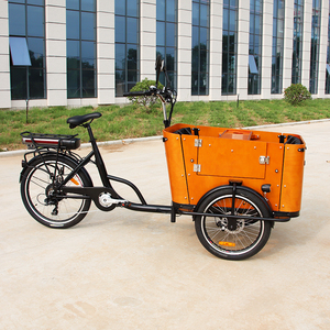 Tricycles électriques homologués CE, vélos cargo familiaux avec boîte de transport, vélos cargo électriques pour la ville, entrepôt UE - Product Image 2