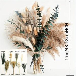 Bouquet de fleurs séchées très prisé : Herbe de la Pampa, Herbe de la Queue de Lapin, Eucalyptus, Petite Herbe de la Pampa – Idéal pour la décoration intérieure et les mariages - Product Image 6
