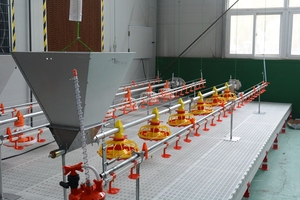 Bebedero de <span class=keywords><strong>Agua</strong></span> para Aves de Corral de 360 Grados en Venta - Product Image 6