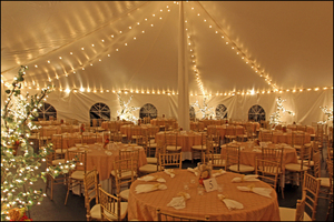 Carpas para Bodas de la Marca Meile en Oferta, con Carpa Transparente o Blanca y Forro Blanco, Modelo ML-0515 - Product Image 2