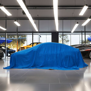 Abarth Sports Style Pongee Fabric Cover Personnalisable Taille OEM pour <span class=keywords><strong>CC</strong></span> Model for Car Exhibition Protection - Product Image 2