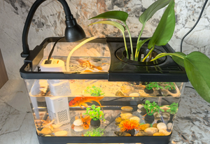 Aquarium en plastique pour poissons, petit aquarium de bureau pour poissons Betta, poissons rouges, boîte d'élevage pour animaux de compagnie - Product Image 6