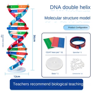 Modelo de Estructura de Doble Hélice del ADN, Componente de Plástico EVA, Heredidad Biológica, Variación Genética, Instrumento de Enseñanza Experimental - Product Image 6