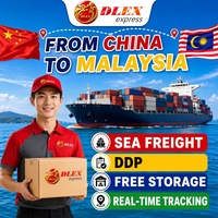 Fournisseur de services logistiques express Chine-Malaisie stable DLEX Express FCL LCL Livraison porte-à-porte Dédouanement acheteur International