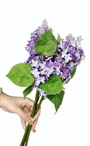 Flores Artificiales al por Mayor, Ramo <span class=keywords><strong>de</strong></span> Flores <span class=keywords><strong>de</strong></span> Tallo Único, Hortensia Morada <span class=keywords><strong>Paniculata</strong></span>, Flores Artificiales para Decoración <span class=keywords><strong>de</strong></span> Bodas y Hogar - Product Image 5