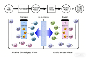 מכונת מים אלקליין מימן תעשייתית אוטומטית 1-3 טון PLC מזון רפואי אחריות לשנה 1000 ליטר/שעה - Product Image 3