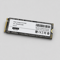 SSD M.2 NVME Super Cepat untuk Laptop 128GB 256GB 512GB 1TB 2TB SATA 2280mm