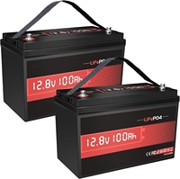 2 Paket Baterai Lithium LiFePO4 12V 100Ah BMS 6000+ Siklus 1280Wh Kelompok 31 Baterai Isi Ulang Densitas Energi Tinggi