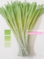 CHANGXU Craft NEW FUZZY Gradient Twist PIPE Twisted Bar Encrypted Handmade Flower Mainan Edukasi Anak Bahan DIY Tas Bahan