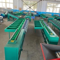 Hete Verkopende Automatische Kokosnoot Passievrucht Mango Dragon Fruit Meloen Fruit Gewicht Sorteermachine Auto Gewicht Sorteermachine