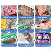 HNOC Machine industrielle pour la fabrication de viandes en conserve de sardines de bœuf, de porc et de poulet