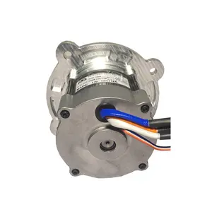 사용자 정의 40V 브러시리스 DC 모터 6500rpm 회전 속도 910mN.m 토크 774W 전기 모터 잔디 트리머